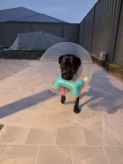 Best Friends’ Family Vet Centre