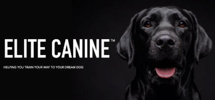 Elite Canine