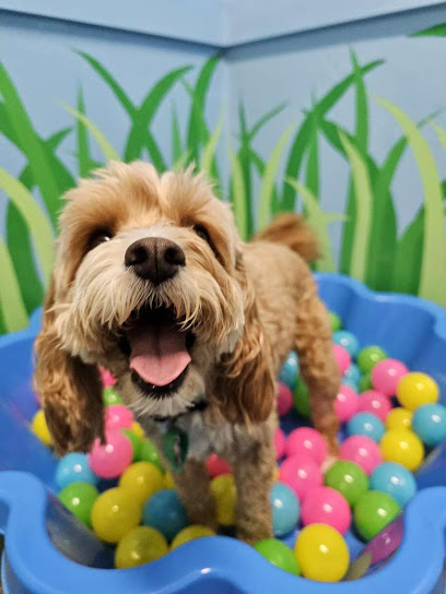 Pure Pet Play & Pamper Malaga