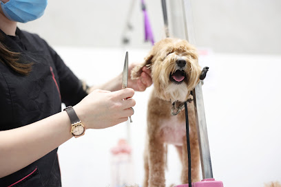 Cuts For Pups