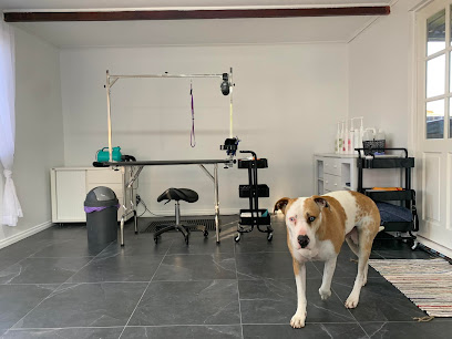 All Needs and Breeds Pet Grooming