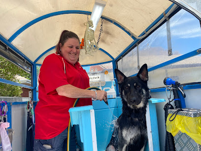Aussie Pooch Mobile Dog Wash Aberfoyle Park