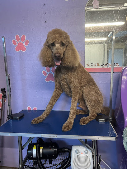 Happy tails grooming