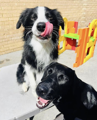 Woof n’ Waggle – Dog DayCare & Groom Saloon