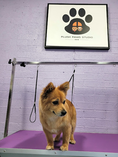 Plush Paws Studio