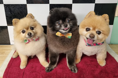 Shaggy Dog Shack Grooming