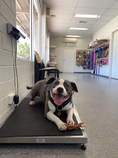 Mosman Park Veterinary Hospital