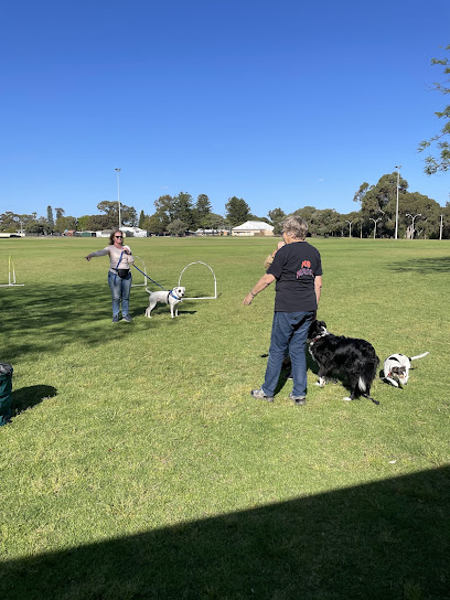 BFF Dog Training