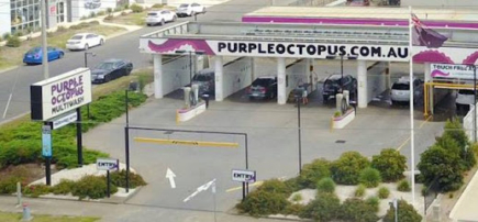 Purple Octopus Multiwash Car Wash and Dog Wash