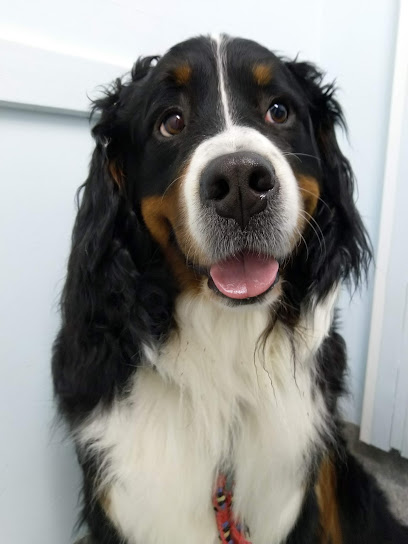 Applecross Veterinary Hospital