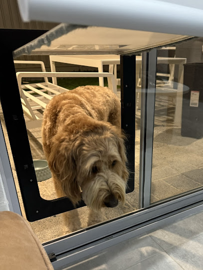 Matt’s K9 School