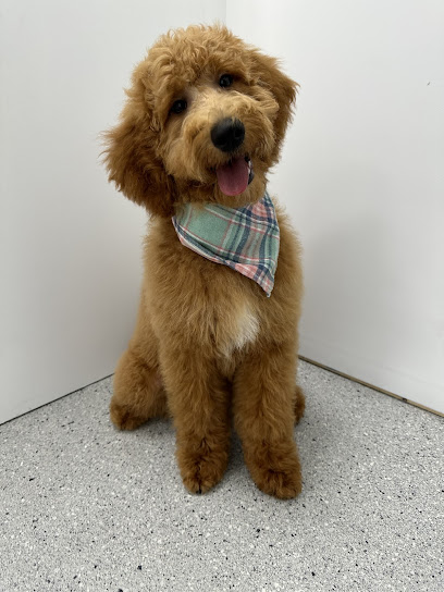 Toby’s Dog Grooming