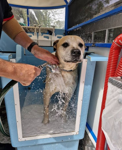 Aussie Pooch Mobile Dog Wash Palmyra