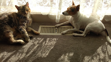 Peace, Love & Paw Prints Grooming Salon