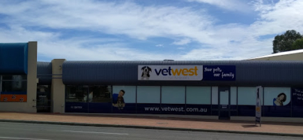 Vetwest Animal Hospitals South Perth