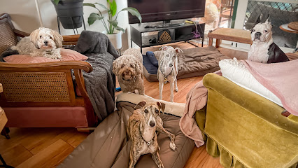 Jess the Petsitter