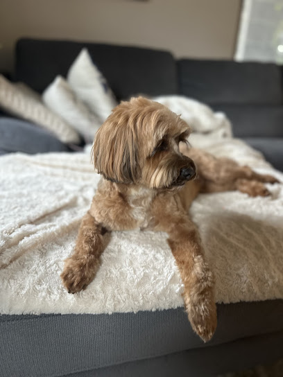 Pet Fresh Grooming Gallery | Bayswater