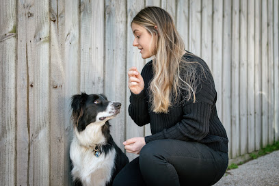 Ethical Dog Training