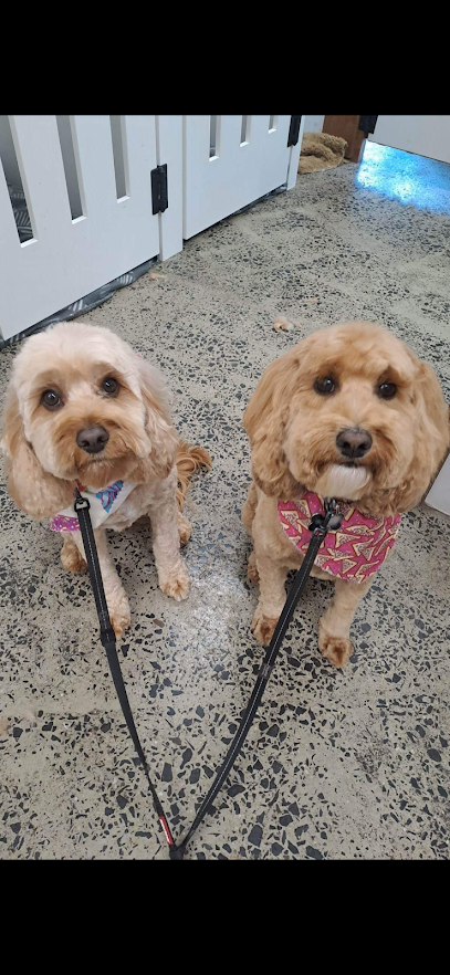 The Happy Dog Hub