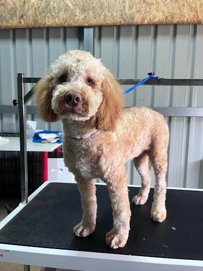 Hill View Dog Grooming