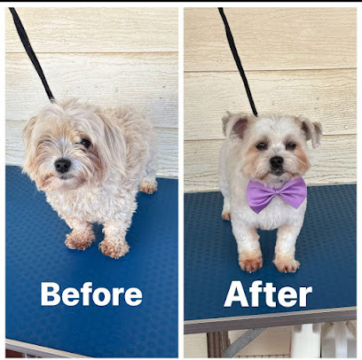 Twinkle Bow Dog Grooming