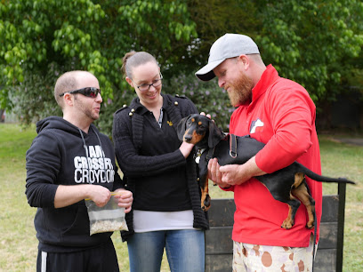 Canine Services International