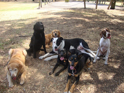 Wag Tails Complete Dog Service