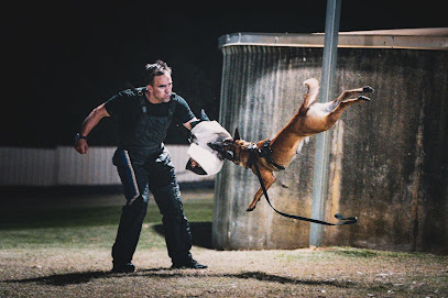 Kaizen K9