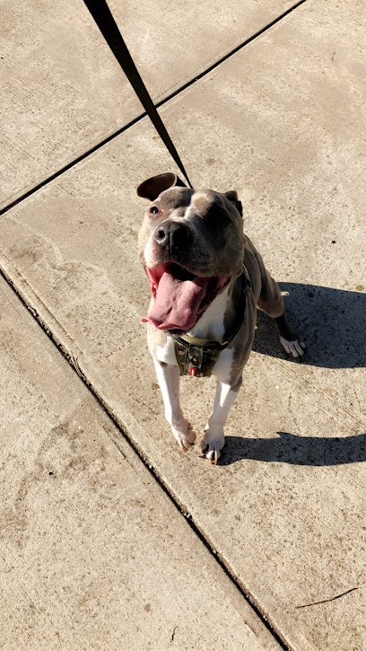 La Exotica Kennels