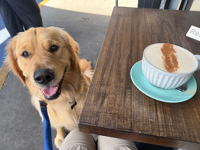 Gold Class Retriever Care