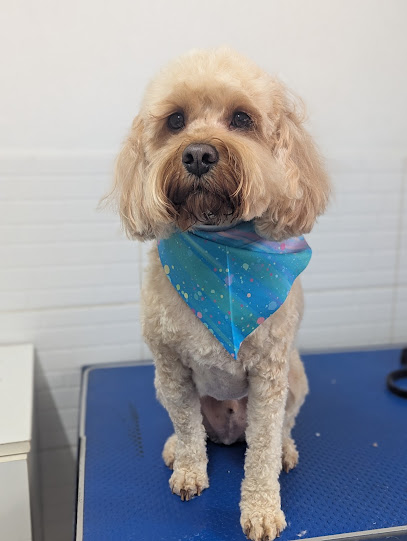 Fairy Tails Dog Grooming and Pet Care