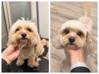 Pawerpet Grooming Salon