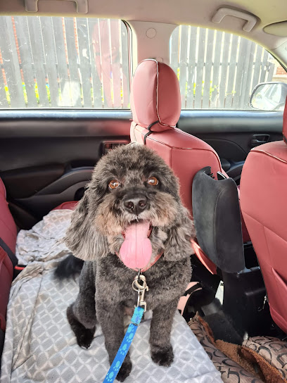RMC Dog Grooming