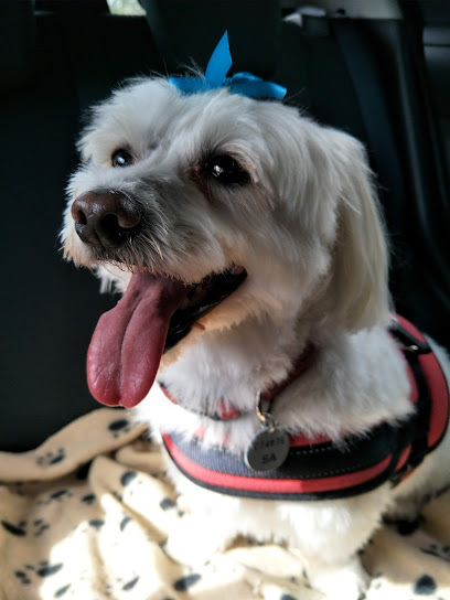The Pampered Pooch
