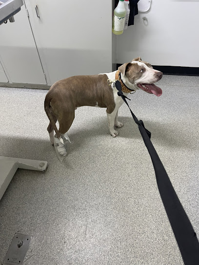 Salisbury Veterinary Clinic