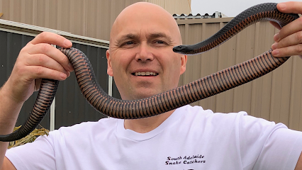 South Adelaide Snake Catchers