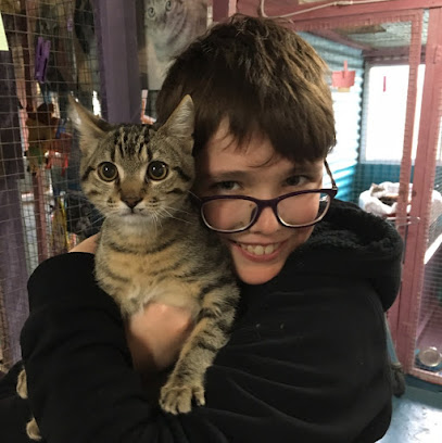 Larrakeyah Cattery