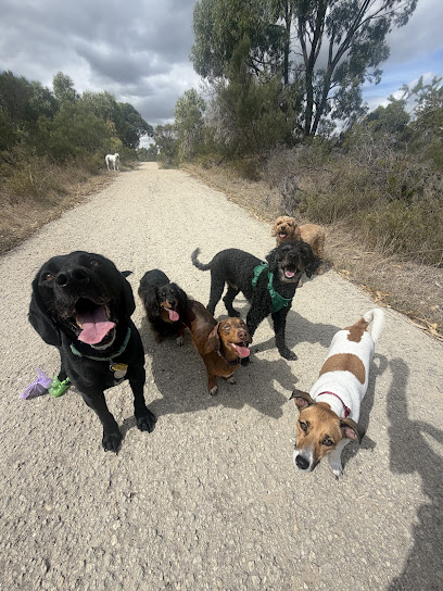 Dogs Downunder