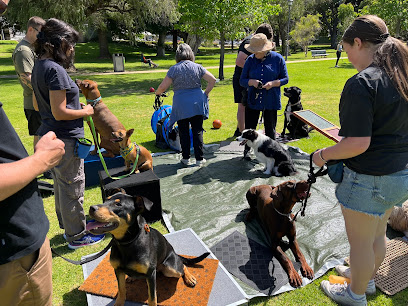 Agile Dog Training Perth