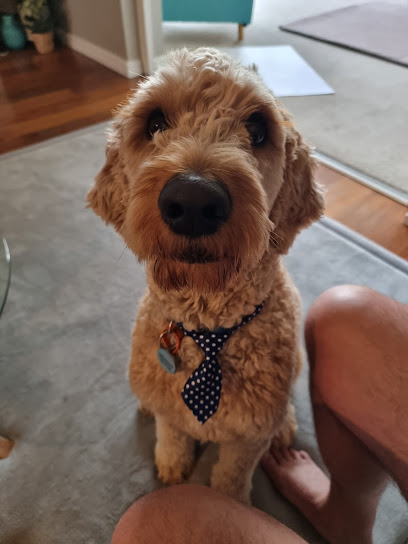 Duncraig Dog Grooming