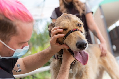 ANIMAL AID Vet Clinic