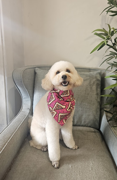 Pawsome Alley Dog Grooming
