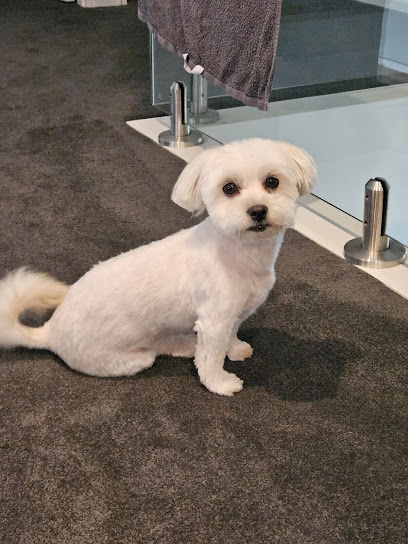 DC PETS | Pet Beauty Salon