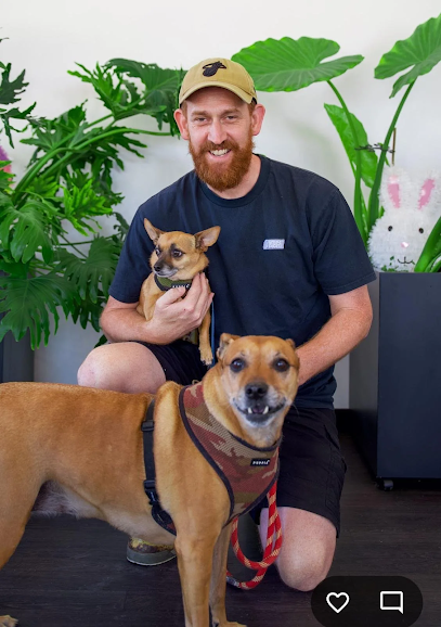My Corner Vet Nedlands