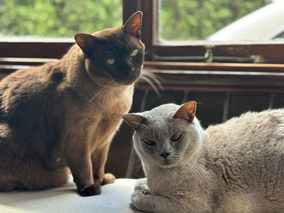 Barbara’s Pet Minding Service