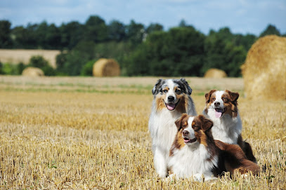 Pet Express Transport Services (PETS)
