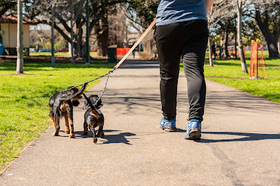 Man’s Best Friend Melbourne