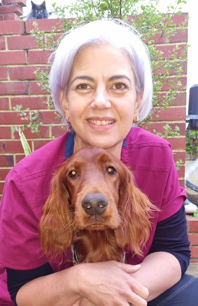 Sorrento Animal Hospital