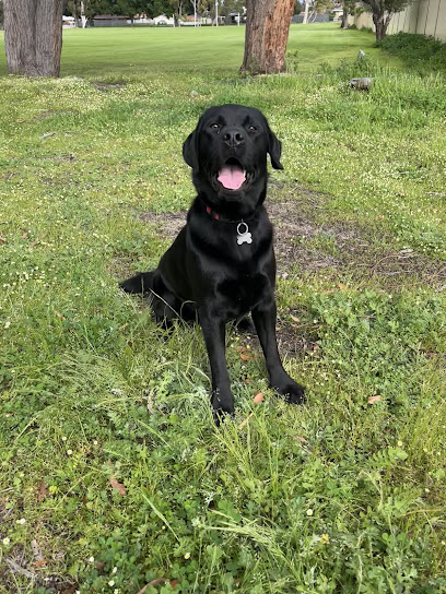 Freedom K9