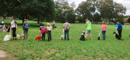 Northcote Obedience Dog Club